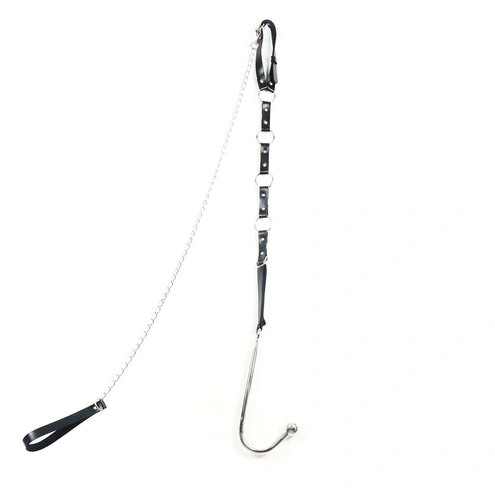 Anal Hooks and Leash Anal EverydayUse Hook Kinky 5853 with Collar 0205